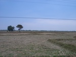 28077RIMG0132.JPG