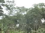 48880CIMG5217.JPG