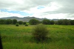 27439DSC_7186.JPG