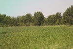 2024-08-05_14-43-48_F2D3F967-2DCF-445A-95AE-0AF28AC59B13.jpeg