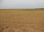 29811CIMG1202.JPG