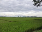 55955CIMG6685.JPG