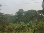 49940CIMG6277.JPG