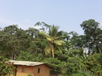 49724CIMG6061.JPG