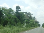 49393CIMG5730.JPG