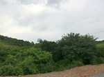 55816CIMG6450.JPG