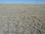 29217GOOD20110406E.JPG