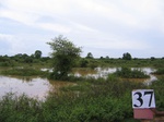1188837-wetlands-seasonal-b.jpg