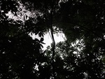 46761DSC02098.JPG