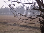 3081 014.jpg