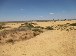36701CIMG0470.JPG