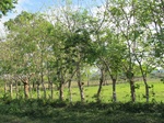 31961IMG_5640.JPG
