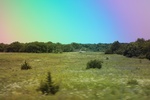 2024-06-17_21-39-43_62464898-A00A-496B-B222-B806C7C0D134.jpeg