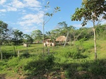 32073IMG_5634.JPG