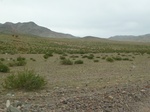 23509P1030361.JPG