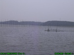 7502007-08-05_11-04-25_tag.jpg