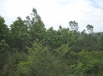 34421IMG_5403.JPG
