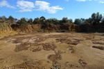 28719P1010737-1.JPG