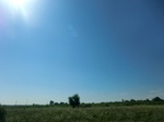 57080CIMG2378.JPG