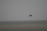 4179IMG_8817.JPG