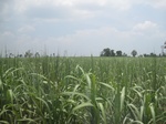 28360IMG_5243.JPG