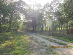 31897IMG_5404.JPG