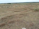 39184CAMA20110712S.JPG
