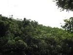 14700IMG_5082.JPG