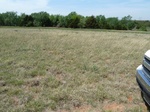 29263HINT20110418W.JPG