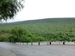 55836CIMG6515.JPG
