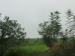 32682CIMG1813.JPG