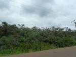 19994P1010844.JPG