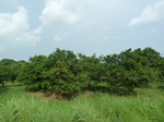 20840P1020700.JPG
