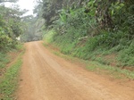 48767CIMG5104.JPG