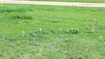 34134CIMG2345.JPG