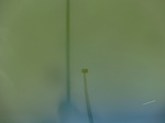 58438CIMG2887.JPG