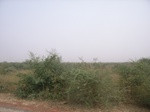 9153RIMG0234.JPG