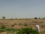 19086P1000931.JPG