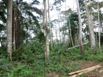 46589CIMG0878.JPG