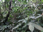 45079CIMG2164.JPG
