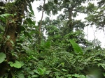 45600CIMG2685.JPG