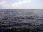 43686pic1.jpg