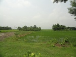 26028DSC00939.JPG