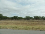 35949DSC02719.JPG