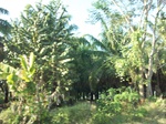 5869100_1547.JPG