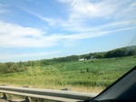 57930IMG_0893.JPG