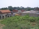839R0015384_small.jpg