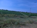 56119CIMG6820.JPG