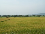17360100_2046.JPG