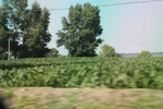 2024-08-05_14-21-45_3606F9D1-2907-4B4F-A2B1-EAA3450FE328.jpeg